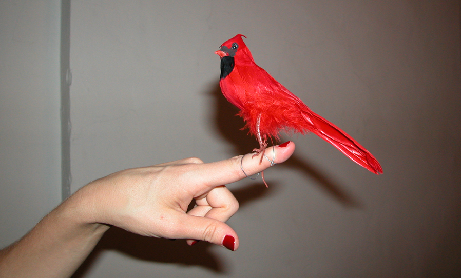 Muffy Nixon Brand Identity