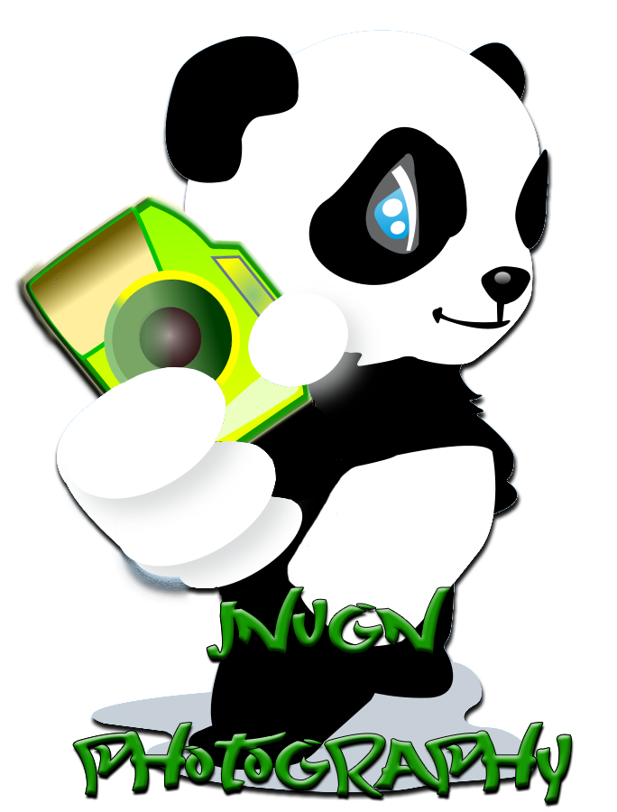 panda11.png