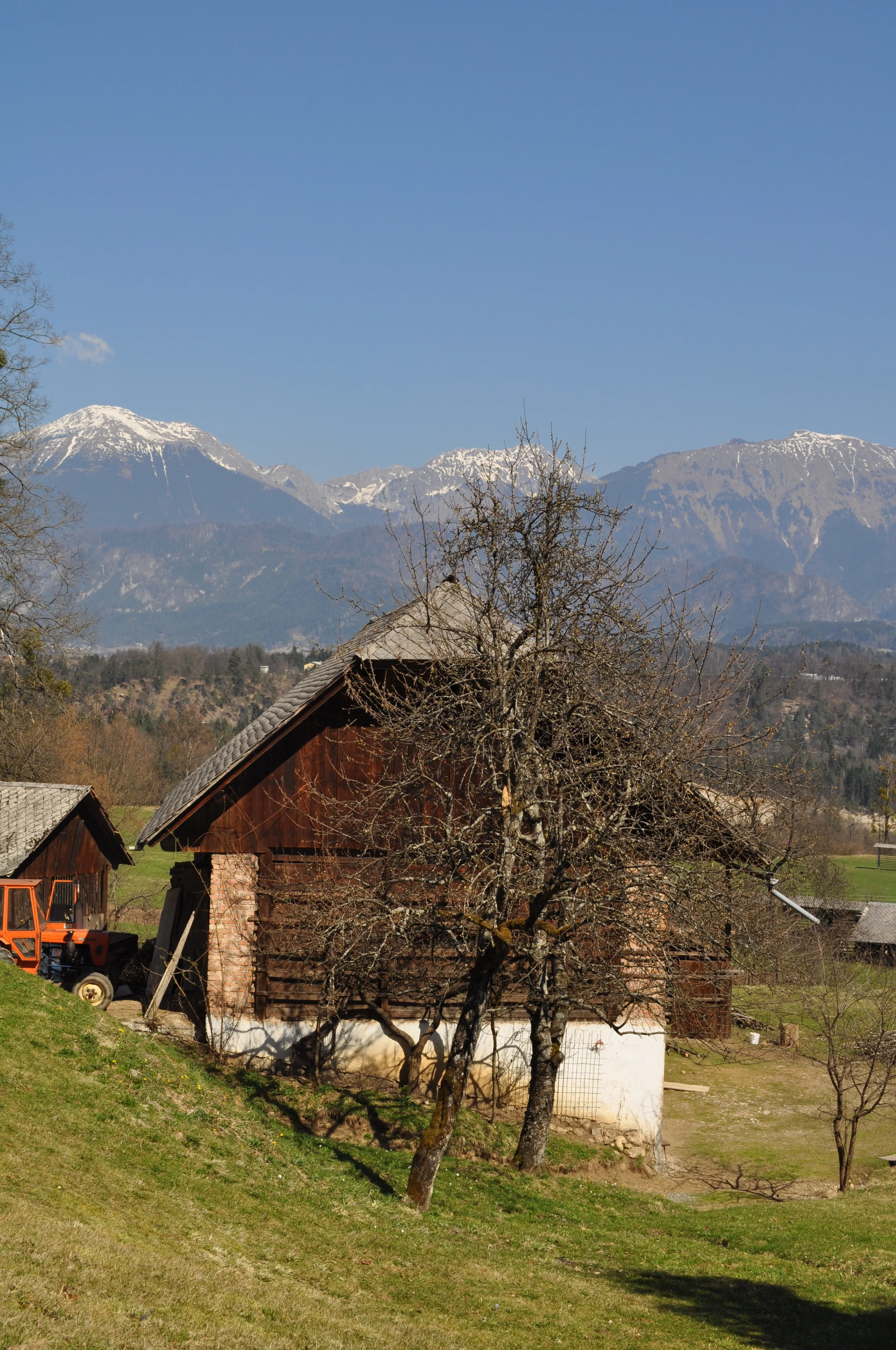 Why Organic, Why Tea?