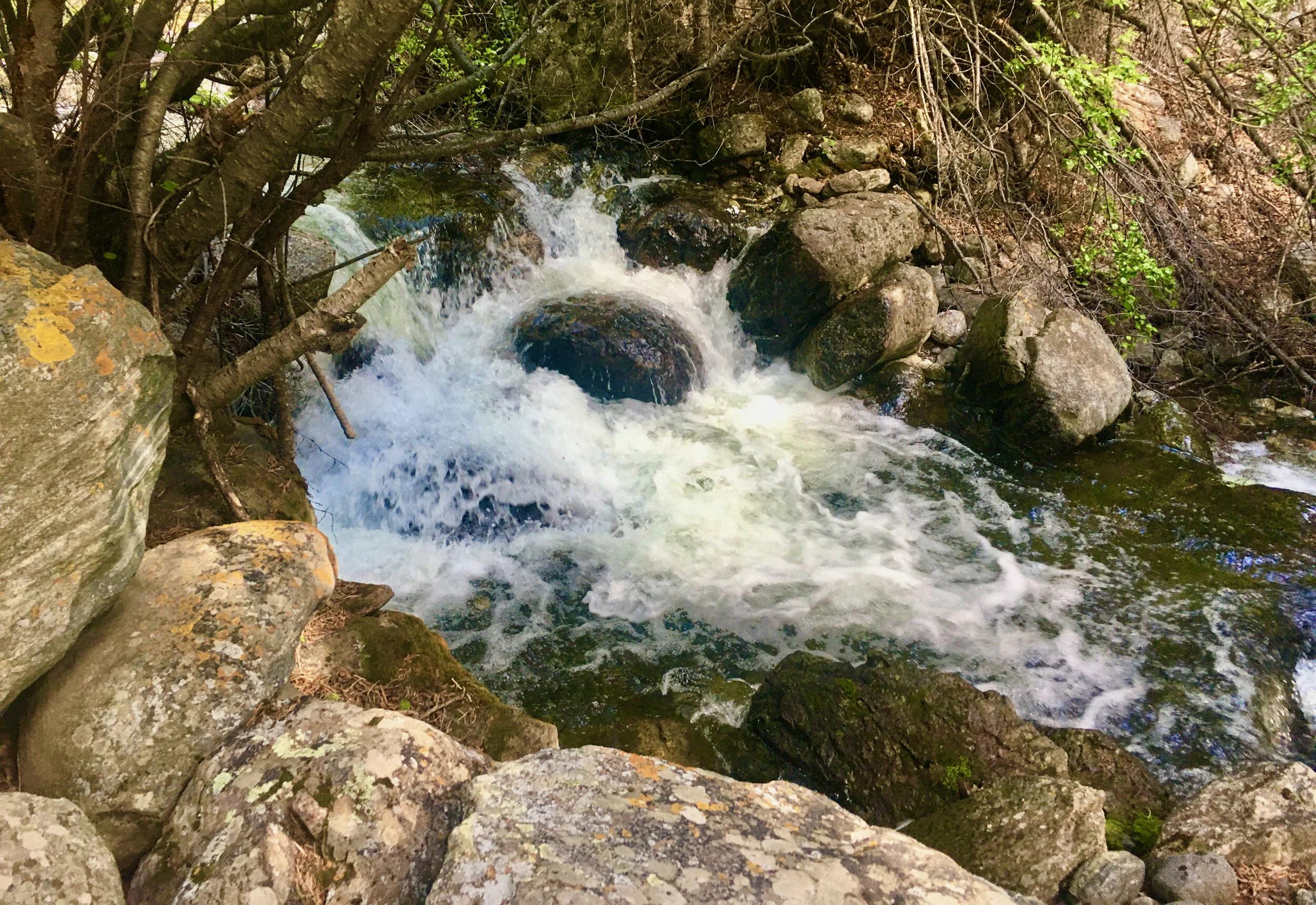 The Pandemic – A laboratory for healing