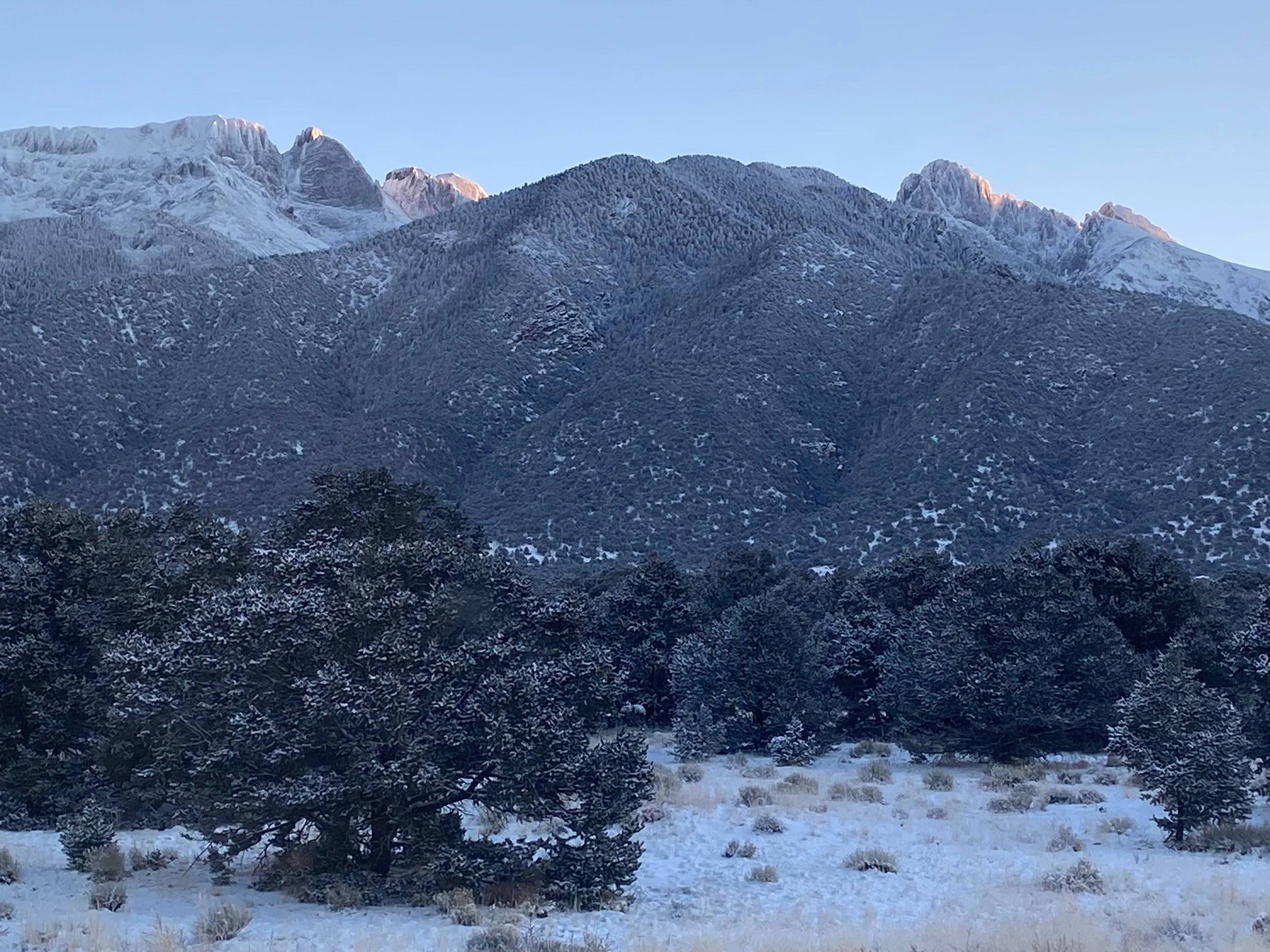 GROUNDED ... STABLE ... SAFE & SECURE