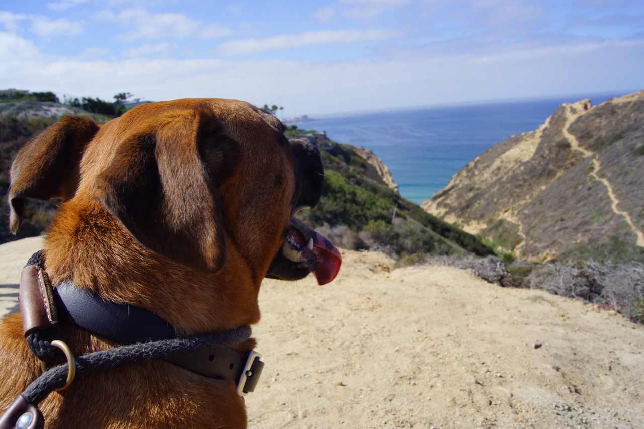 Ready to get to the beach (down the canyon leads to the water, while t he path to the right leads to a vantage point).