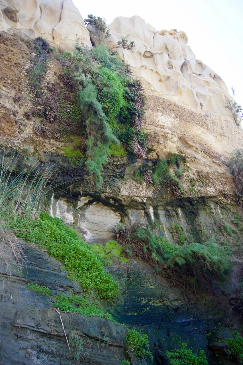 An unexpected lush patch, created by water trickling down the cliffs.