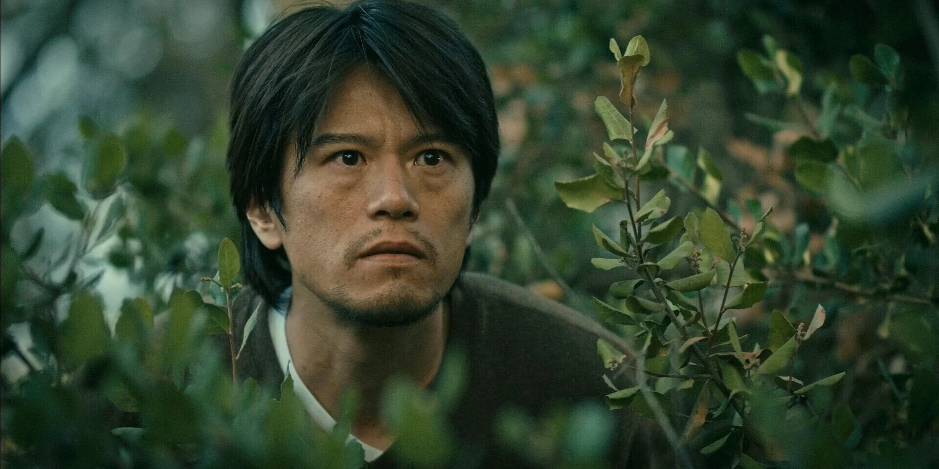 Fukai18.jpg