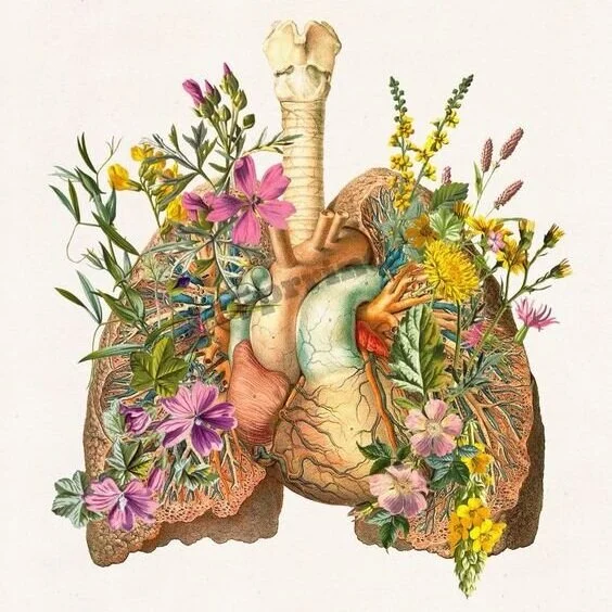 lung+heart+of+flower.jpg