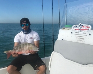 Nice Mutton Snapper!