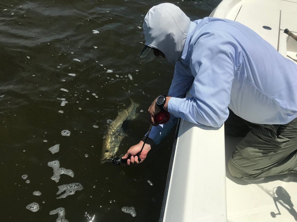 Naples, FL Winter Fishing Report  Naples Fishing Charters with Capt. Mark  Ward