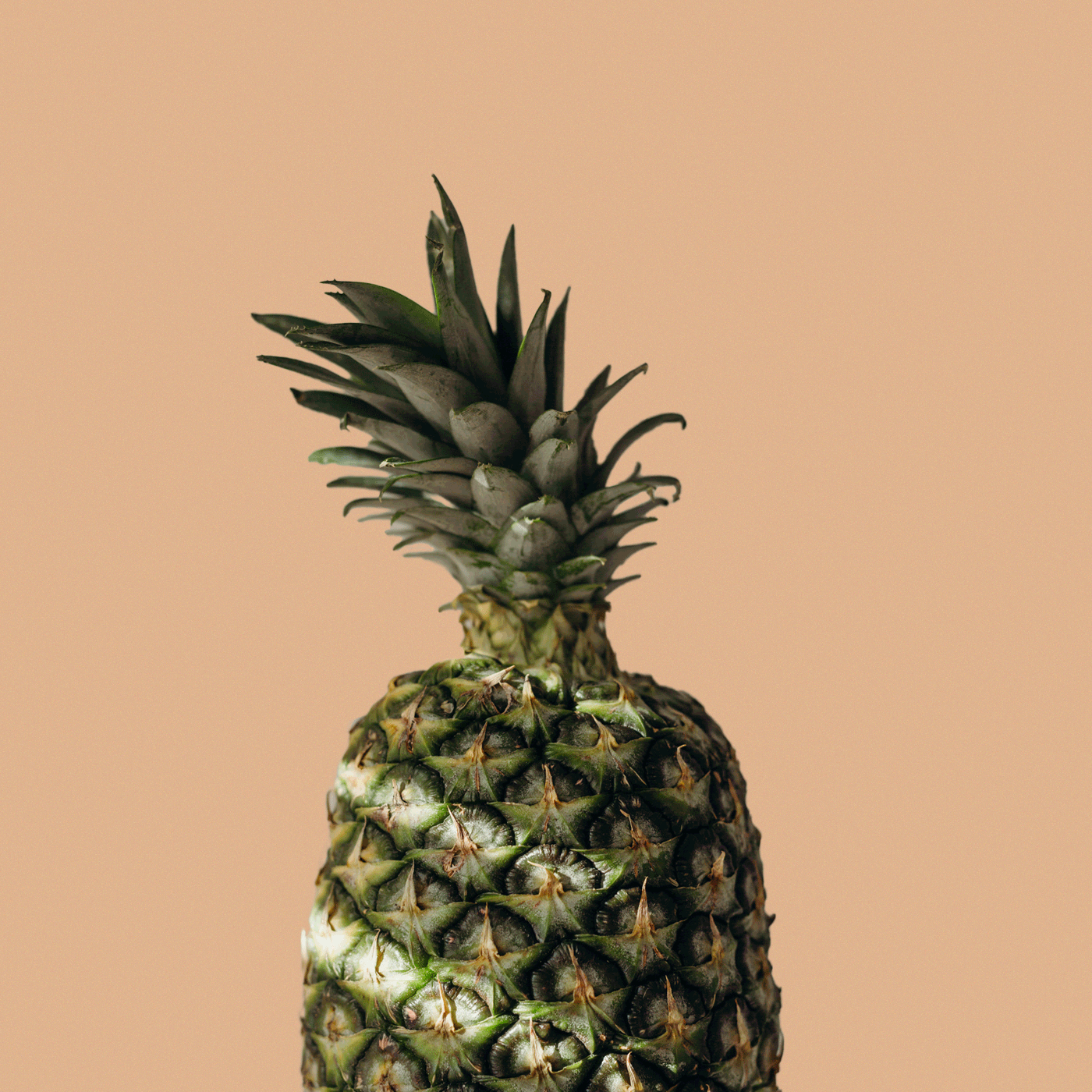 custom motion gif.gif