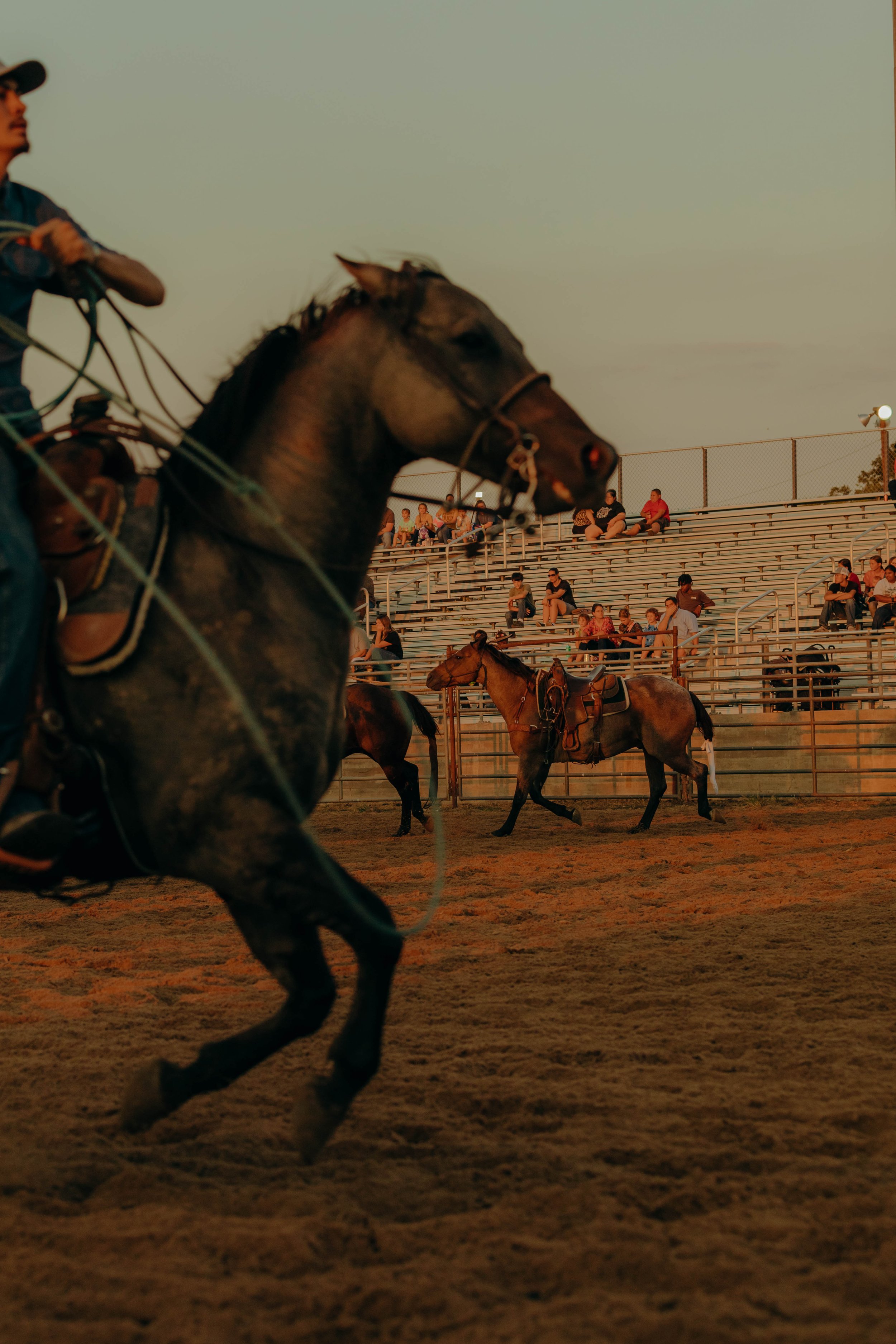 rodeo23-32.jpg
