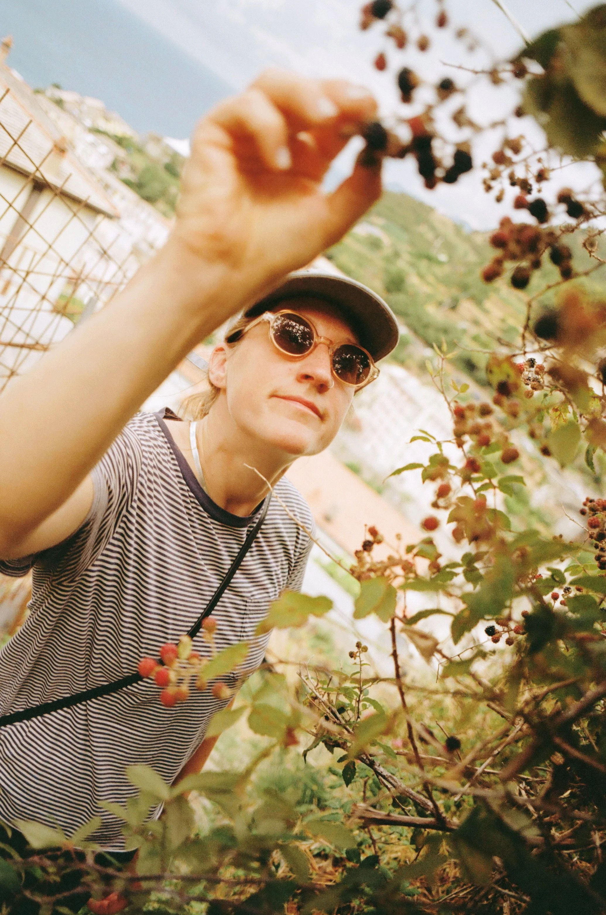 AfterlightImage 2.JPG