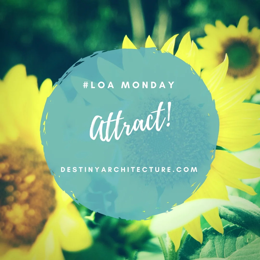 #LOA Monday-2.jpg