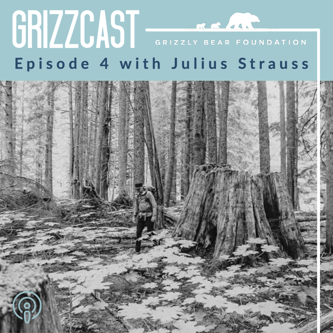 EPISODE FOUR: COMMON GROUND