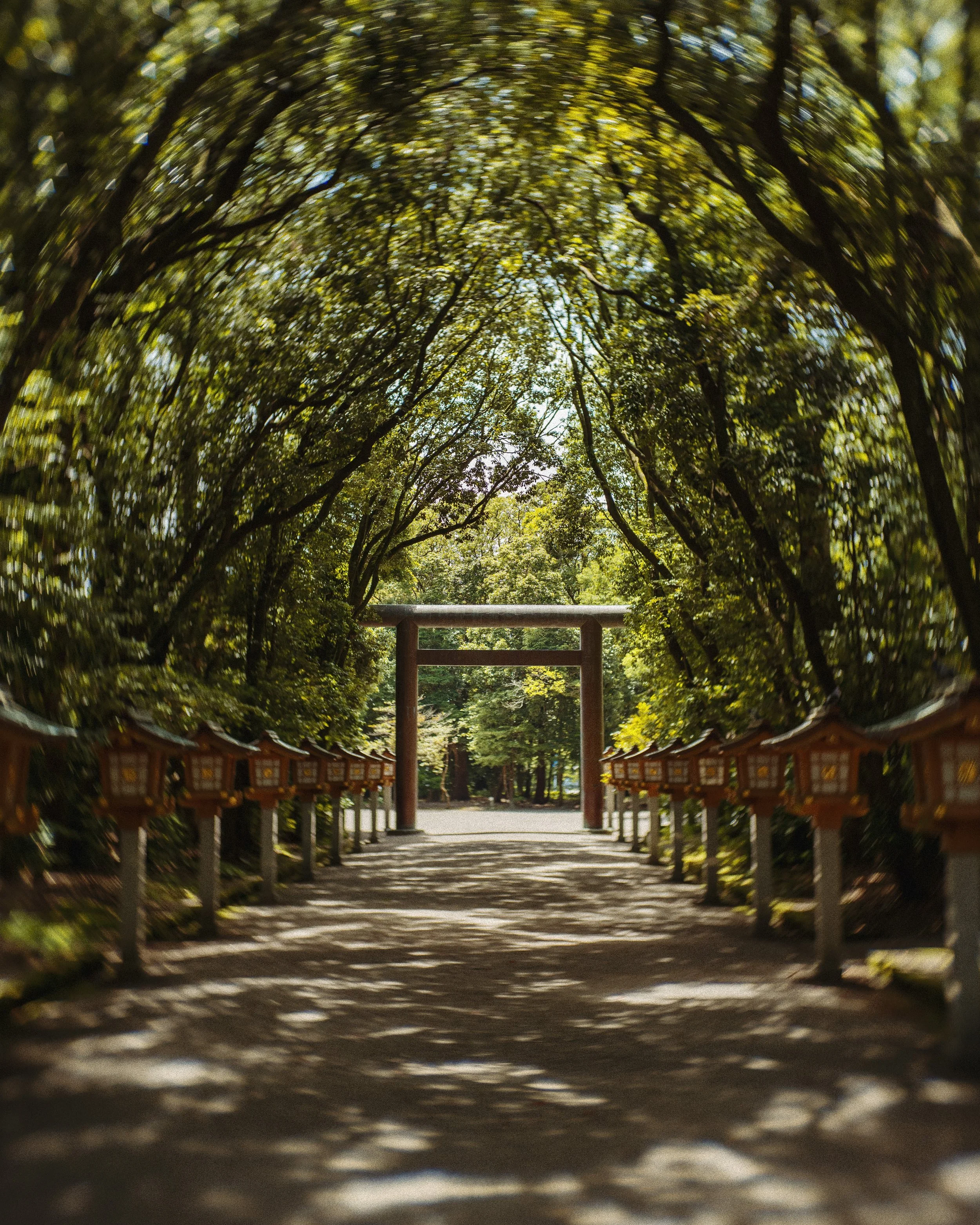 Miyazaki, Japan. 2024
