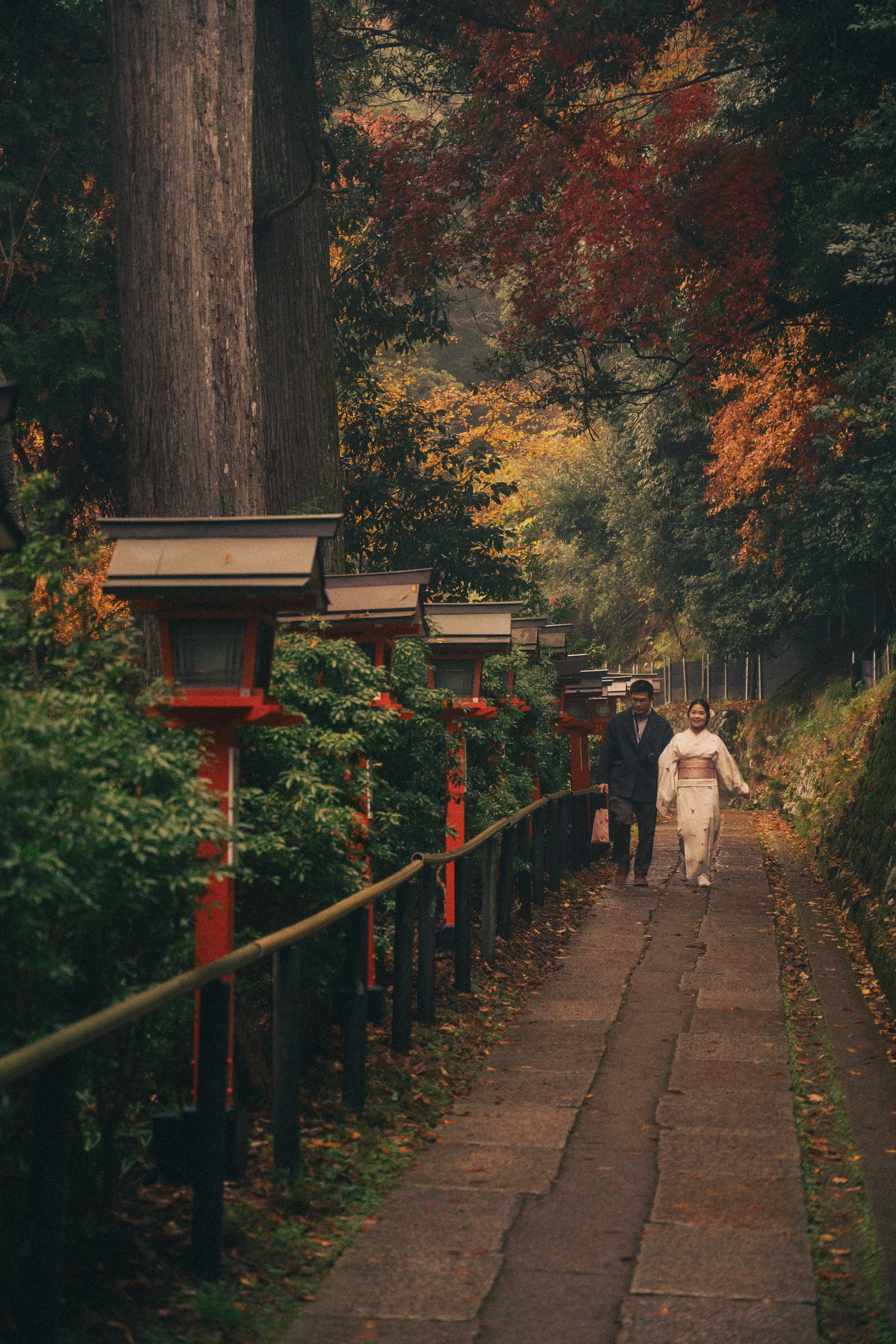 Kyoto, Japan. 2025