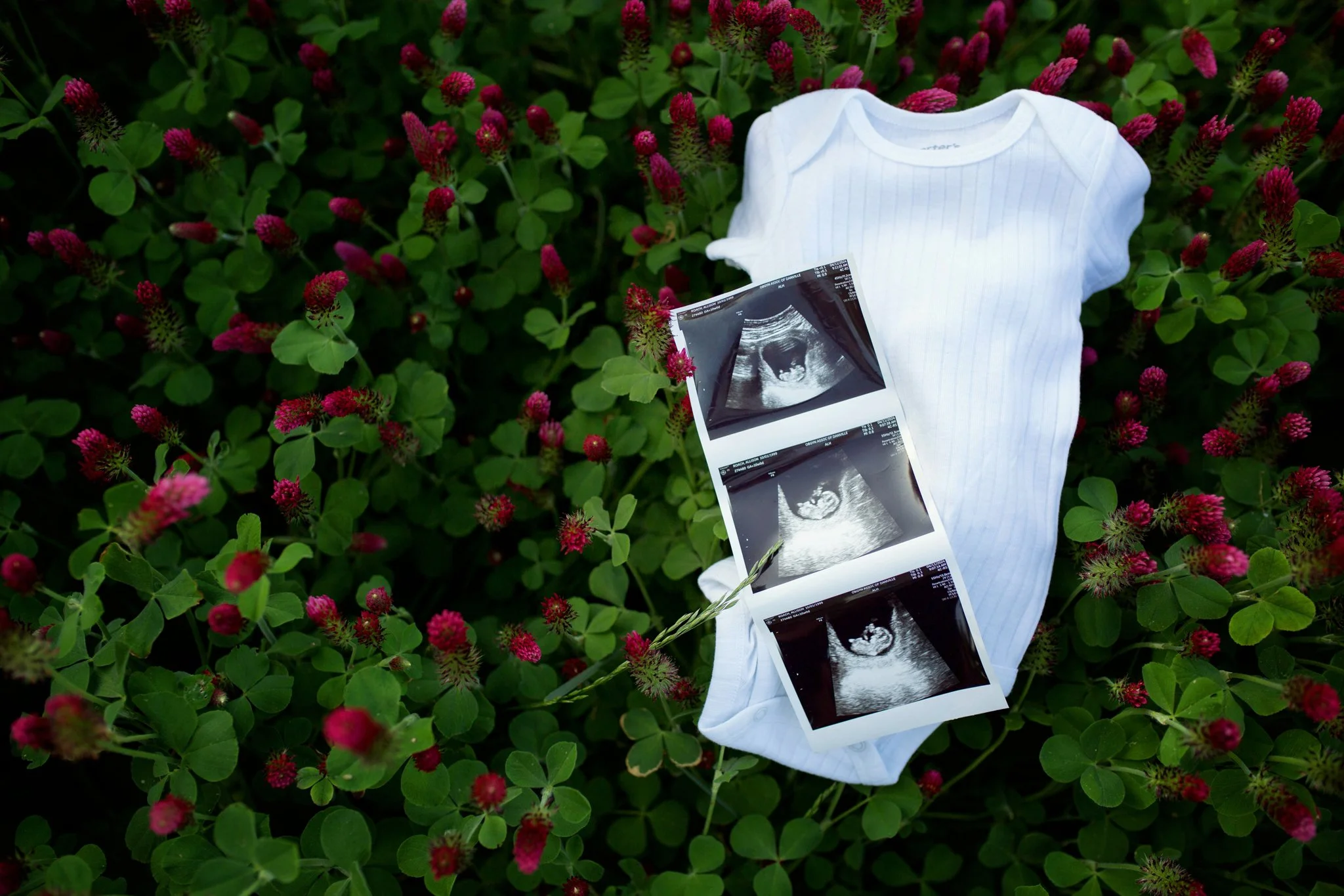 Baby Announcement | Clover Field Photos | Chatham, VA