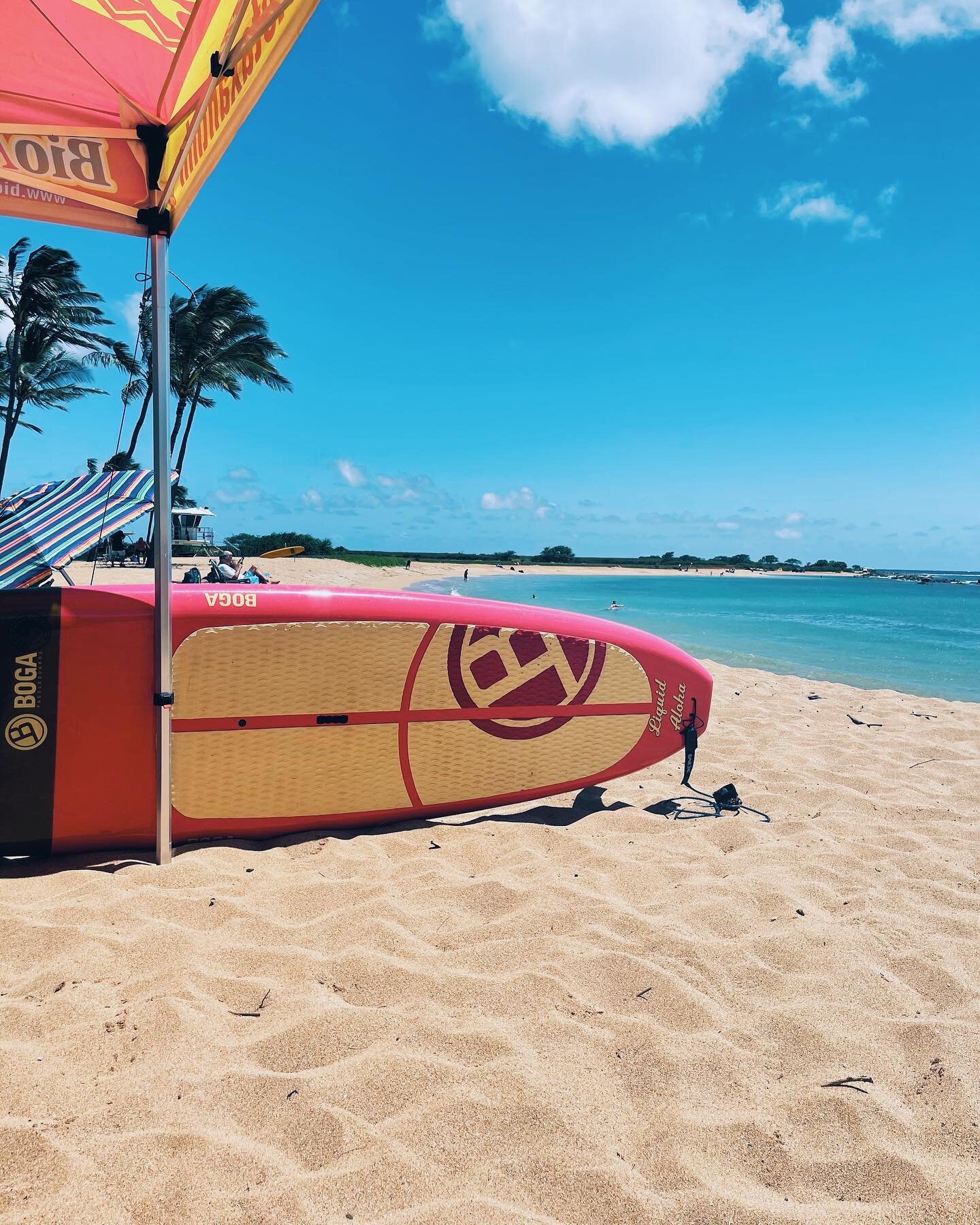 liloa has a new love for paddling and we are here for it &bull; 💫 #kauai #makanistodamax #paddle