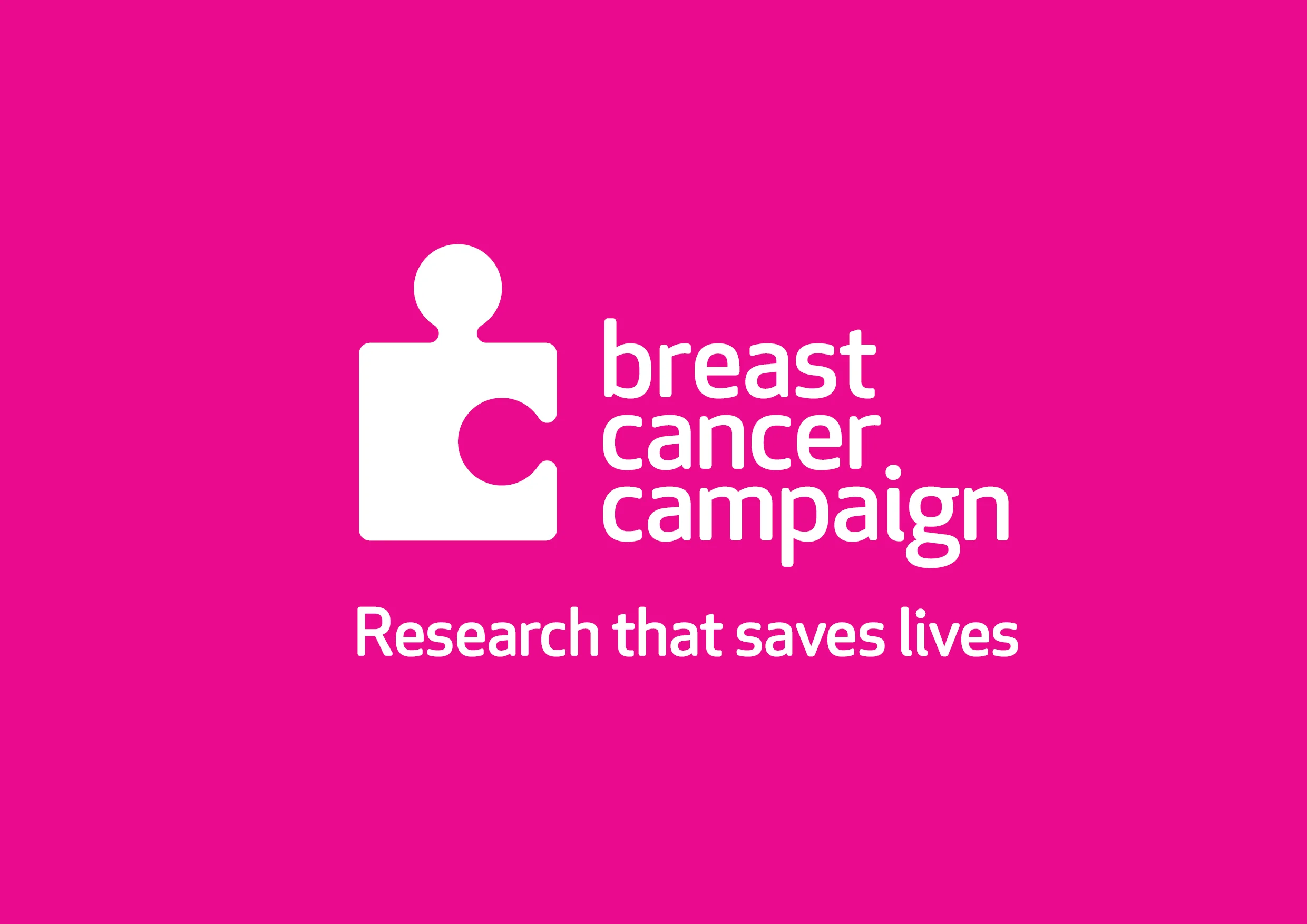 Breast Cancer Campaign F Made By Big