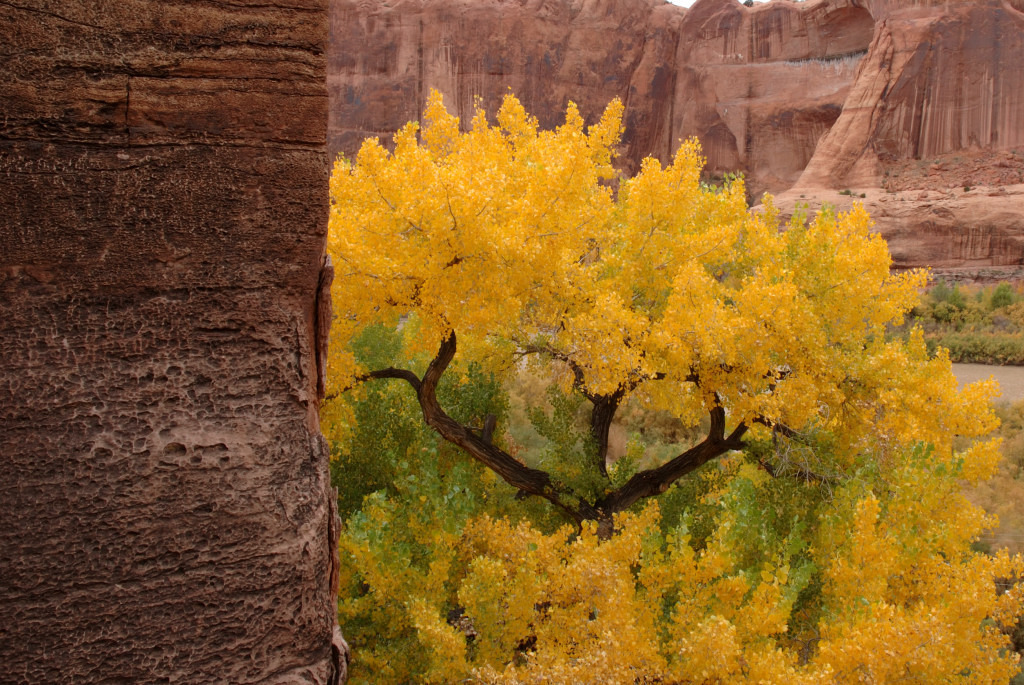 compressedlowresgallery0037.jpg