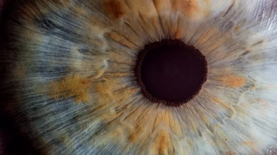 eye.jpg