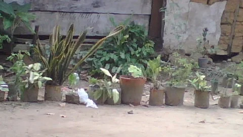 IMG00092.jpg