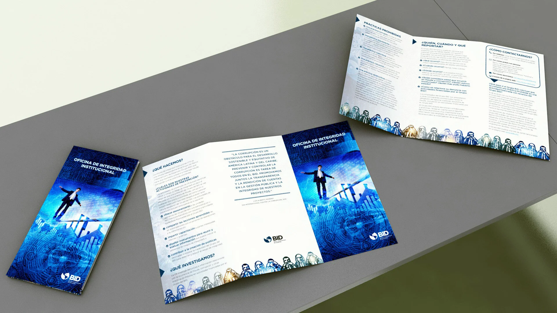 Tri_Fold_Brochure_OII.jpg