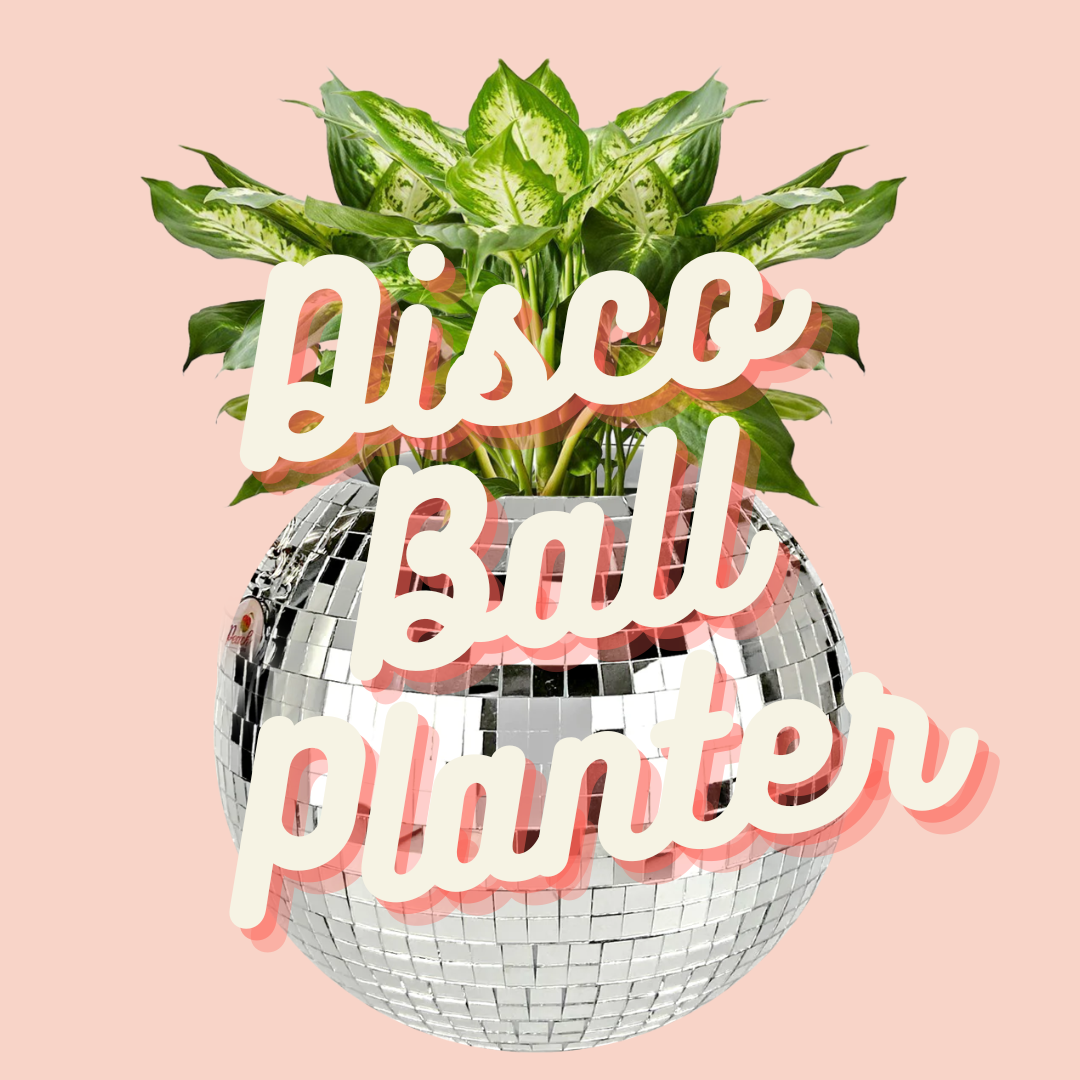 Disco Ball.png