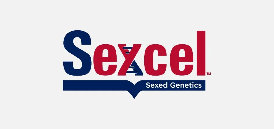 Sexcel-Banner.jpg