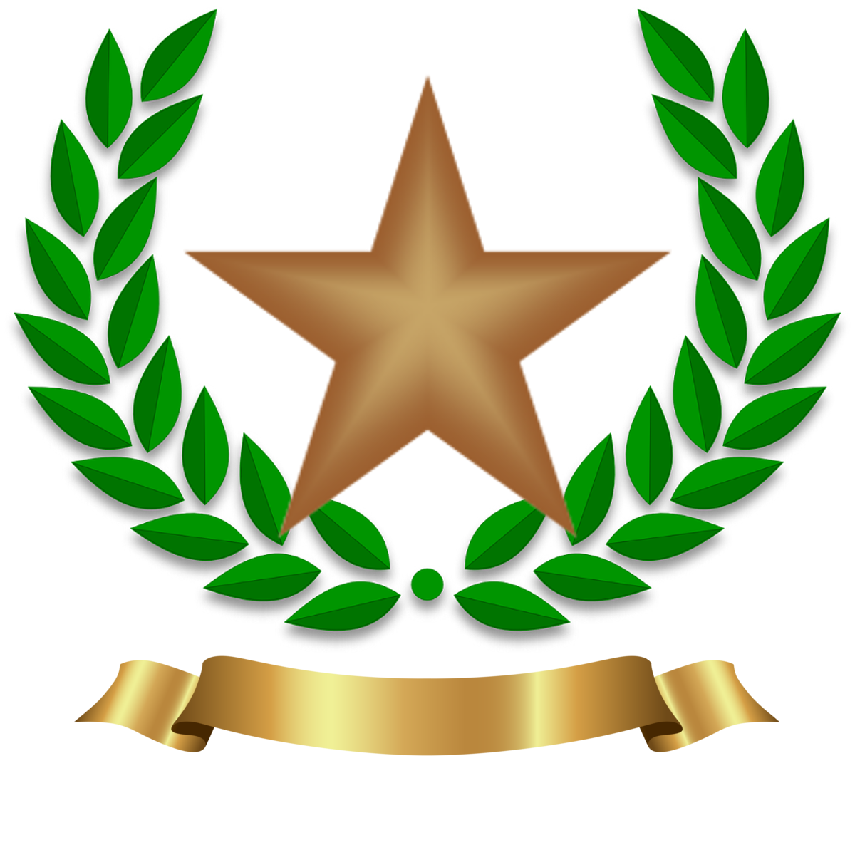 Bronze star.png