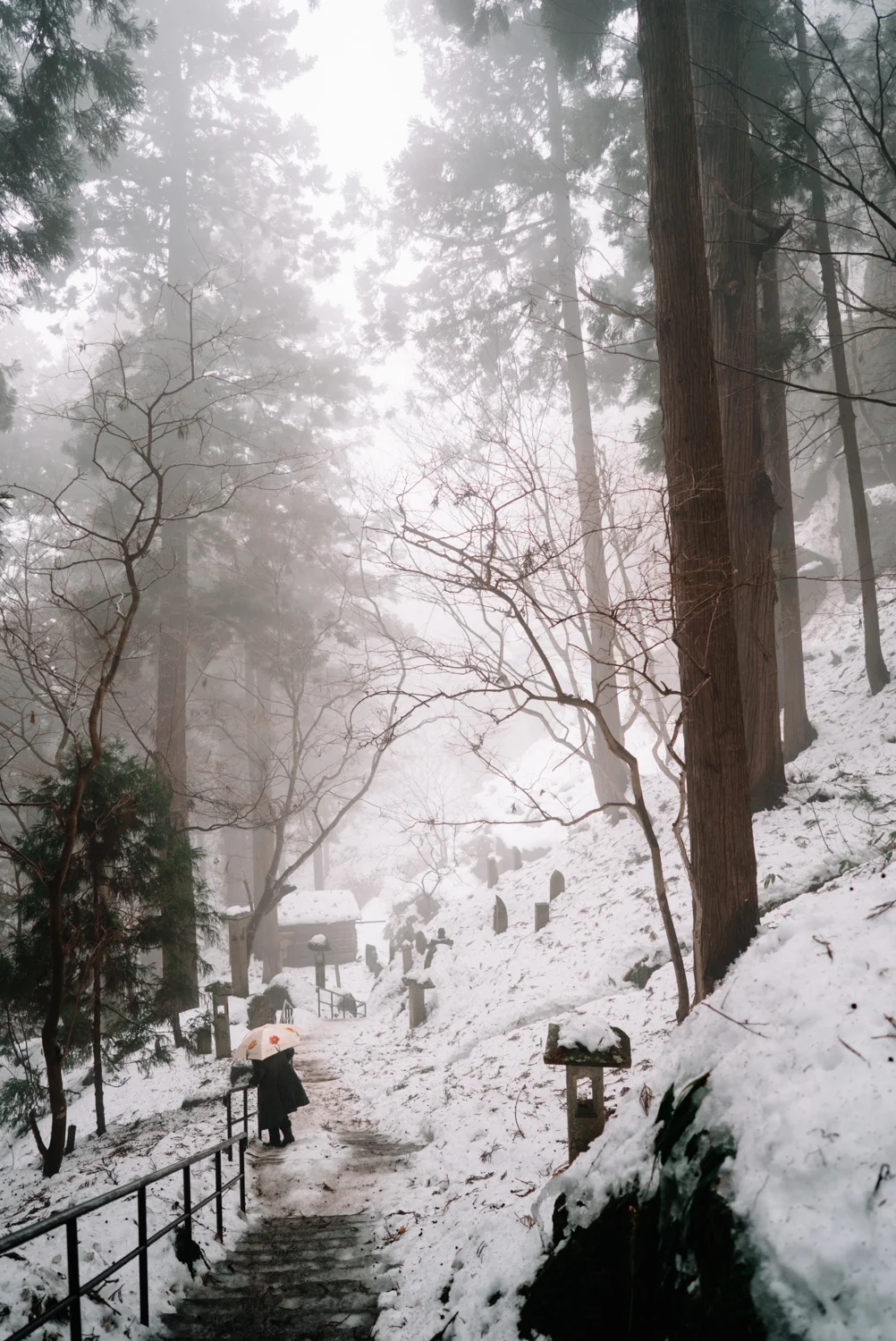 Tohoku-20180116-230653.jpg