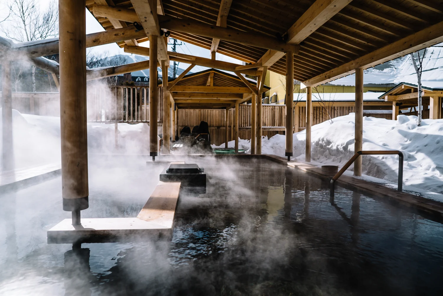Tohoku-20180118-212138.jpg