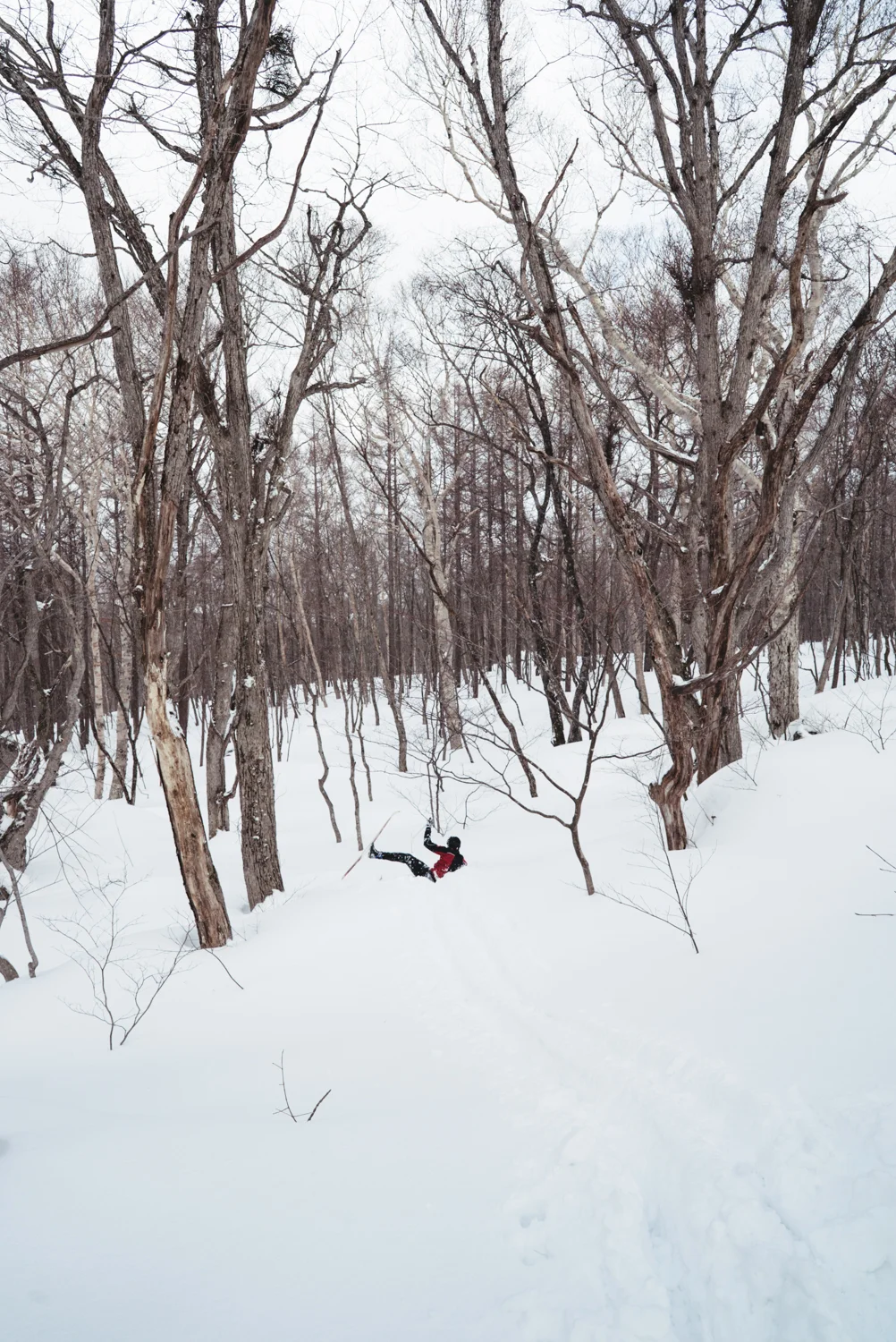 Tohoku-20180118-193346.jpg