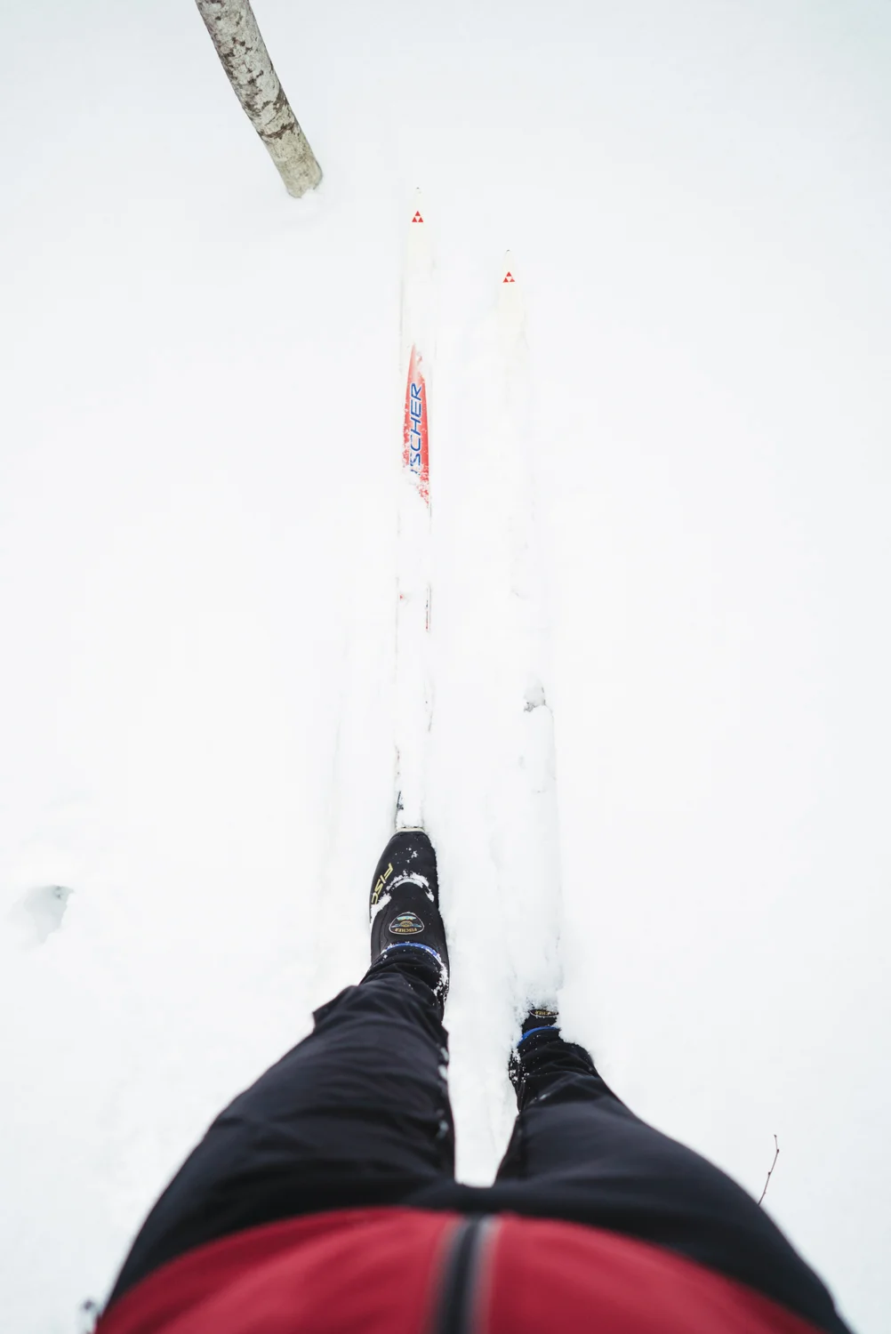 Tohoku-20180118-185905.jpg