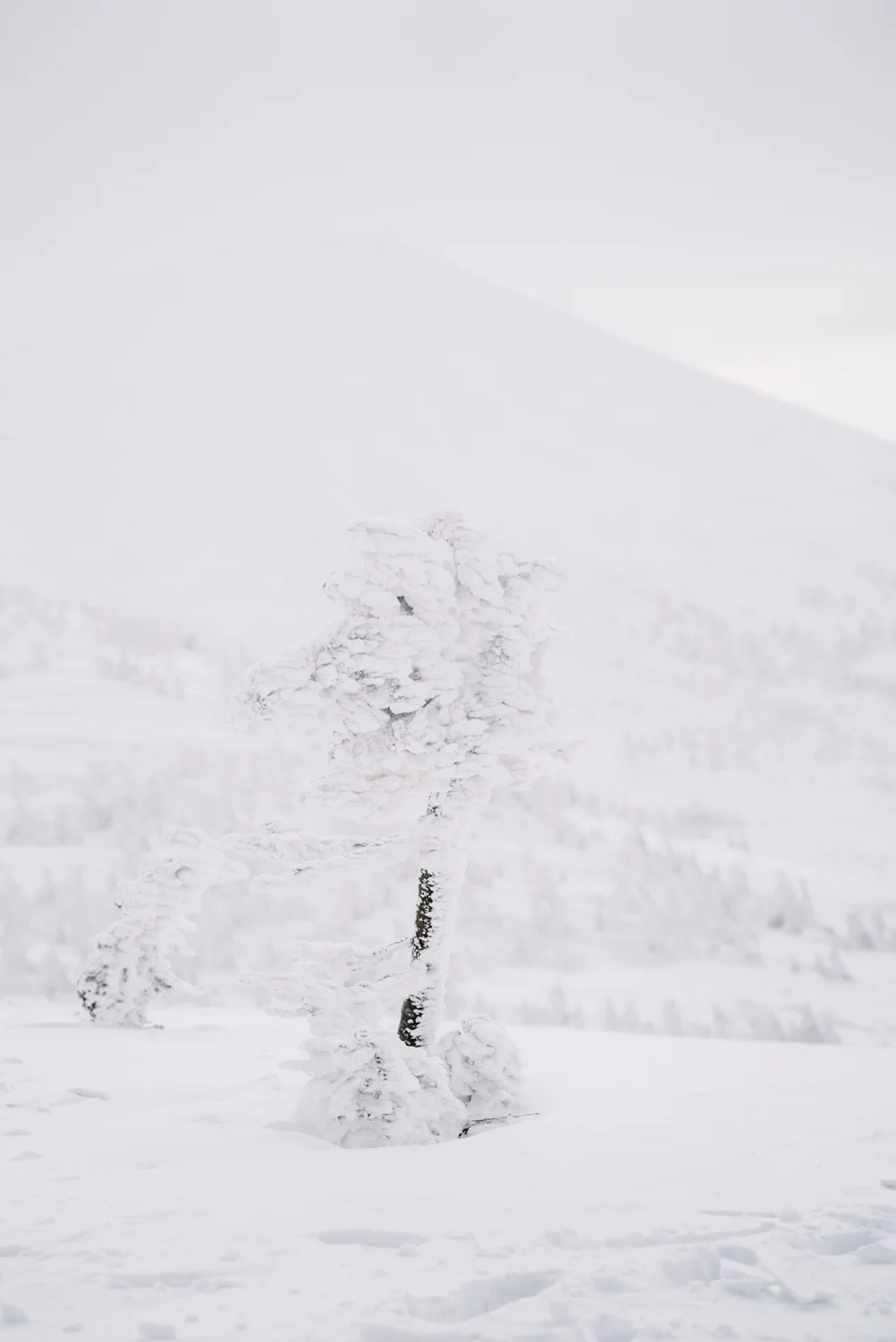 Tohoku-20180119-183726.jpg