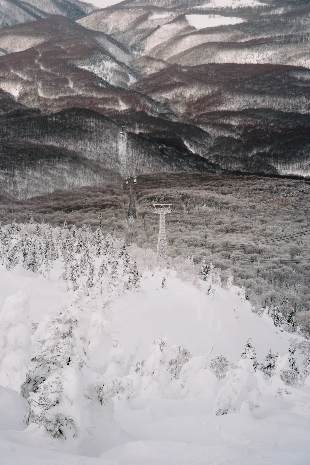 Tohoku-20180119-183353.jpg