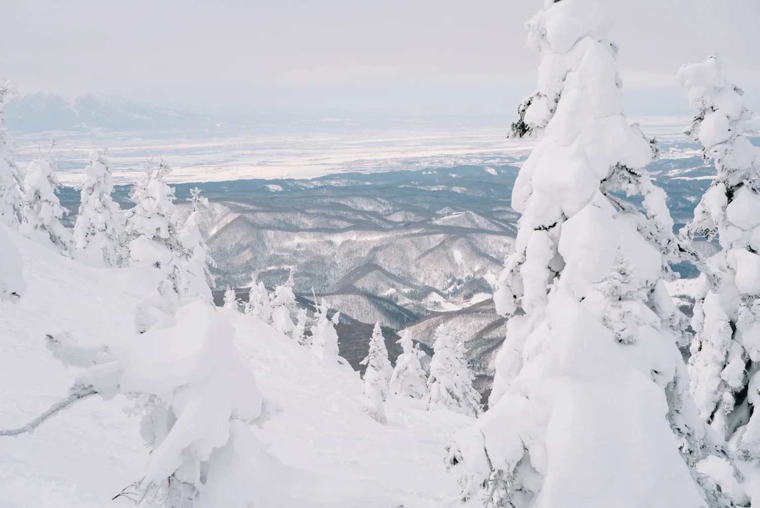 Tohoku-20180119-191028.jpg