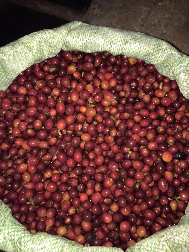 Cereza.jpg