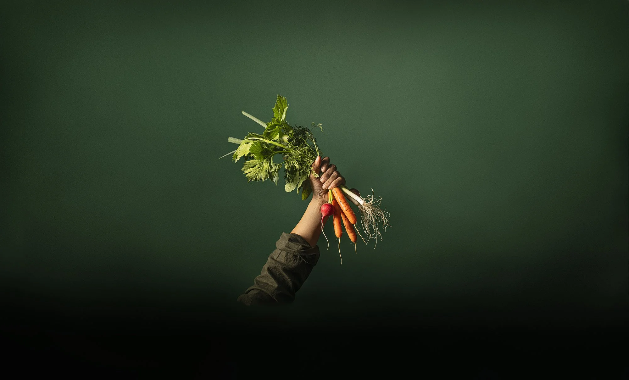 AJBAIN_StillLife61.jpg