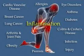 5 Foods to Fix Underlying Causes of Inflammation
