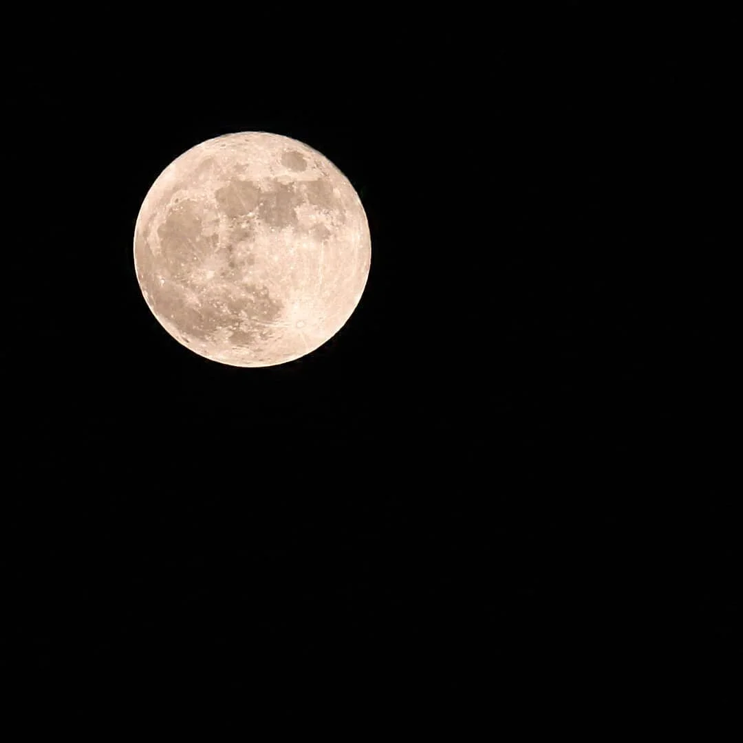 Together, in orbit. 🍓 🌙 🌌

#StrawberryMoon
#ShotOnCanon
#Photography
#Moon
#🌕
_
#kens5eyewitness