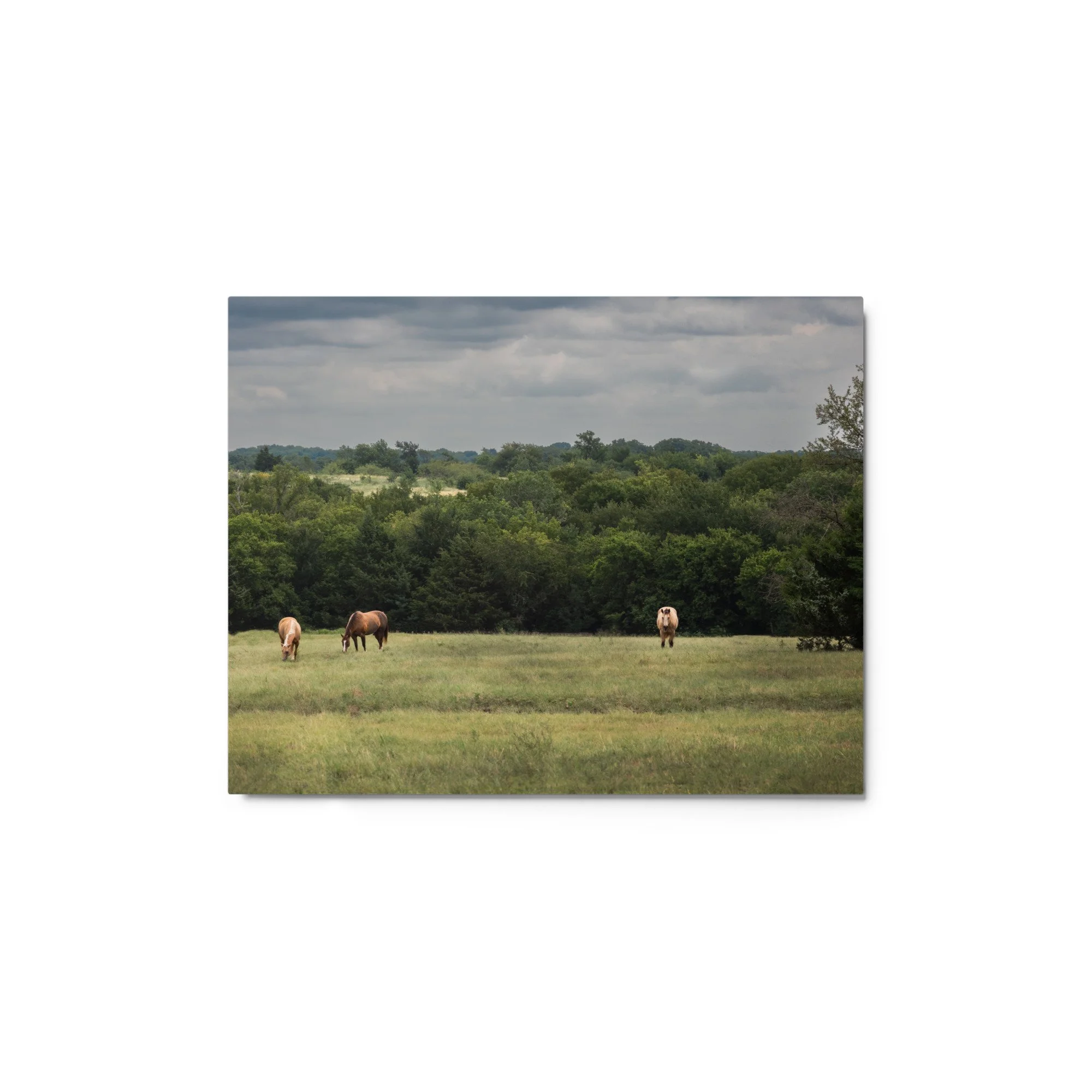 glossy-metal-print-(in)-white-11x14-front-68b9d51730cfa.jpg