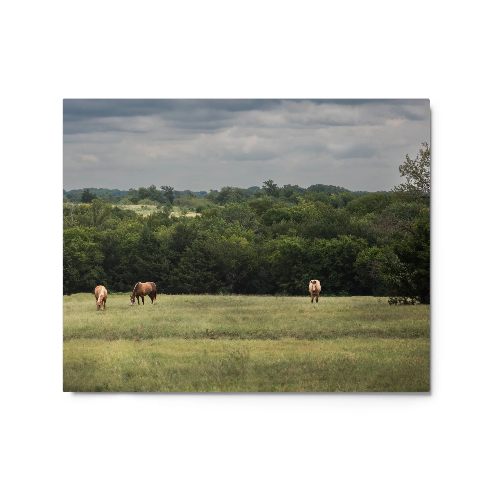 glossy-metal-print-(in)-white-16x20-front-68b9d517313fc.jpg