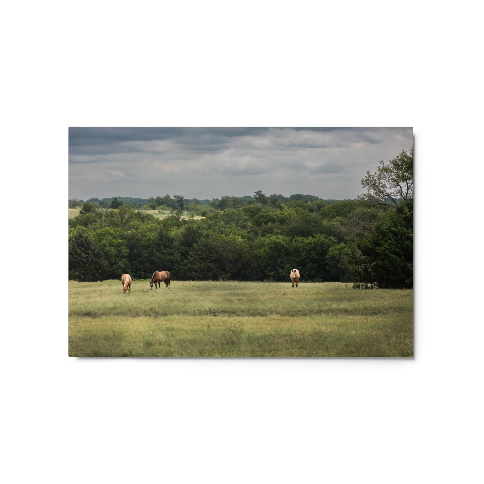 glossy-metal-print-(in)-white-20x30-front-68b9d51731aa1.jpg