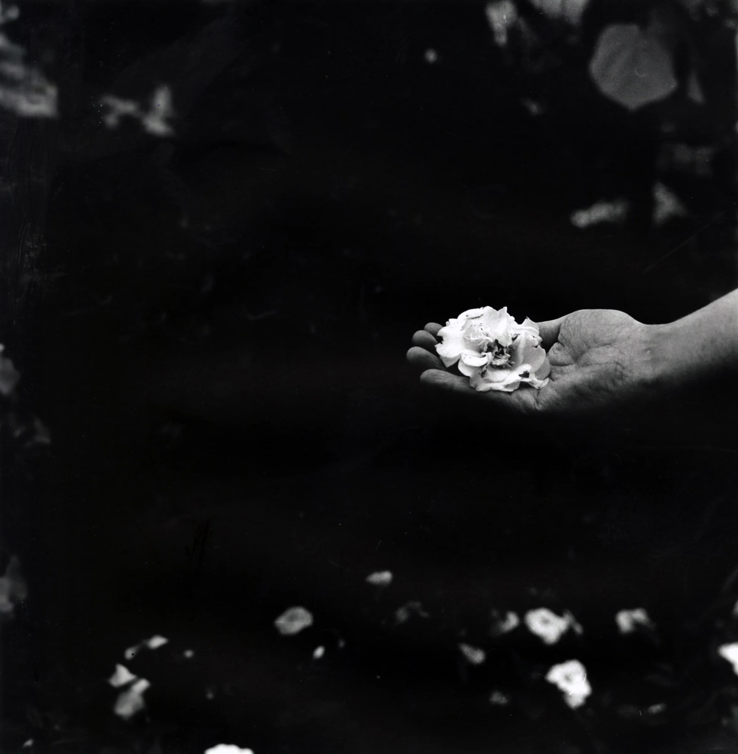 flower hand 001.jpg