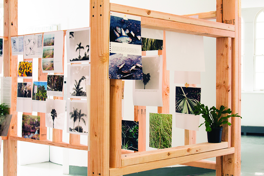 Rosner,Sam_09 web.jpg