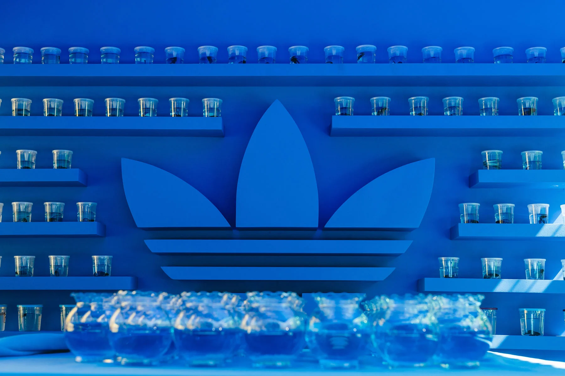 adicolor_StreetFair_Blue_2.jpg
