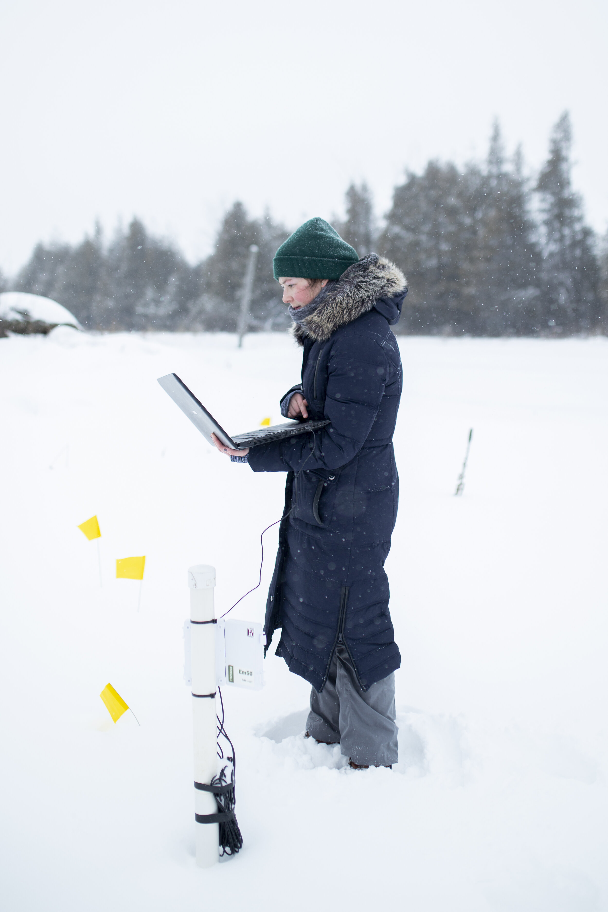  The yellow flags mark different points that contain soil sensors buried beneath the snow, which Wright can then download data from. 