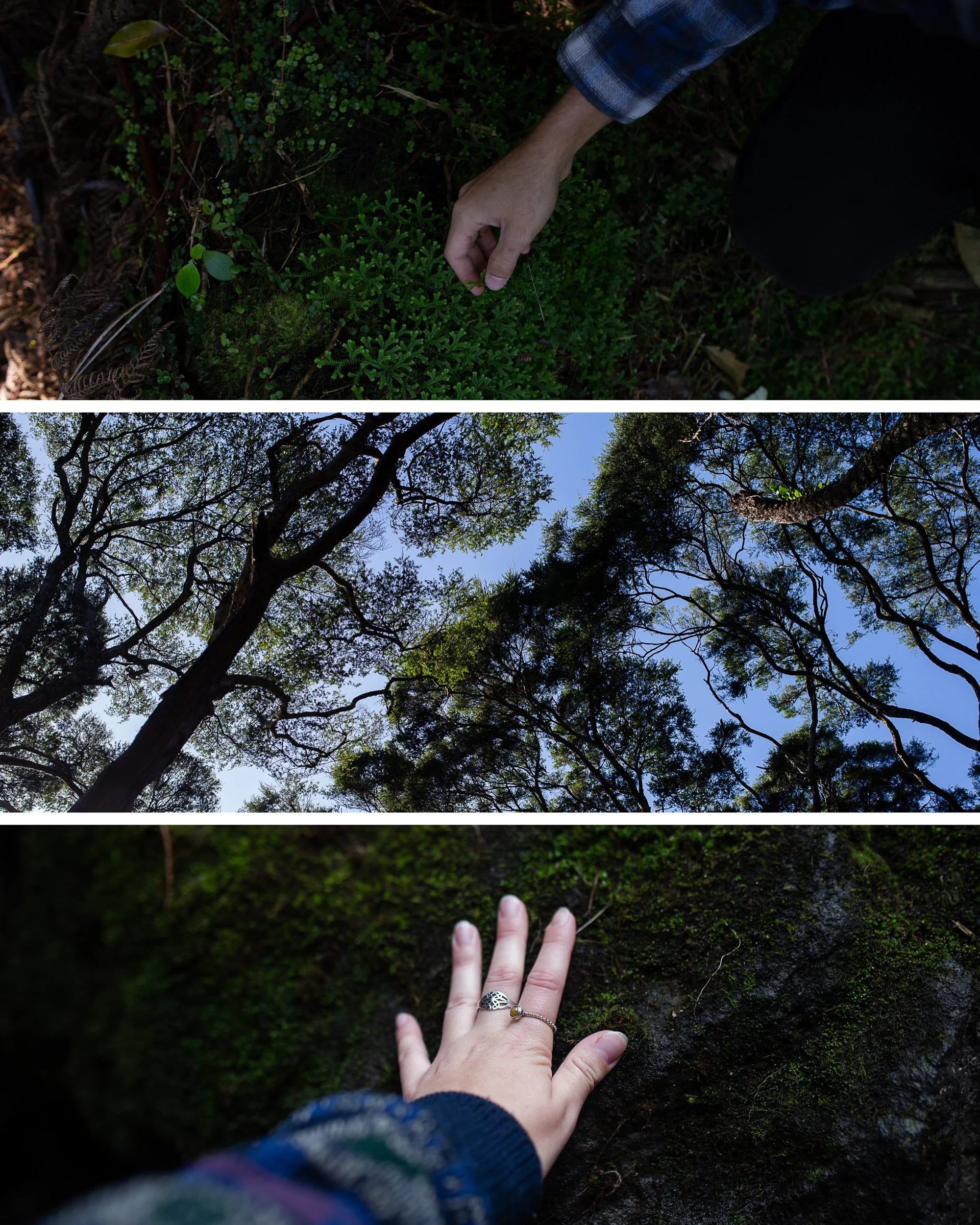 During my brother’s first visit to Aotearoa in 2023, we continuously felt everything - literally. Our connection to the land was immediate, and is something we both yearn for since returning to Canada.