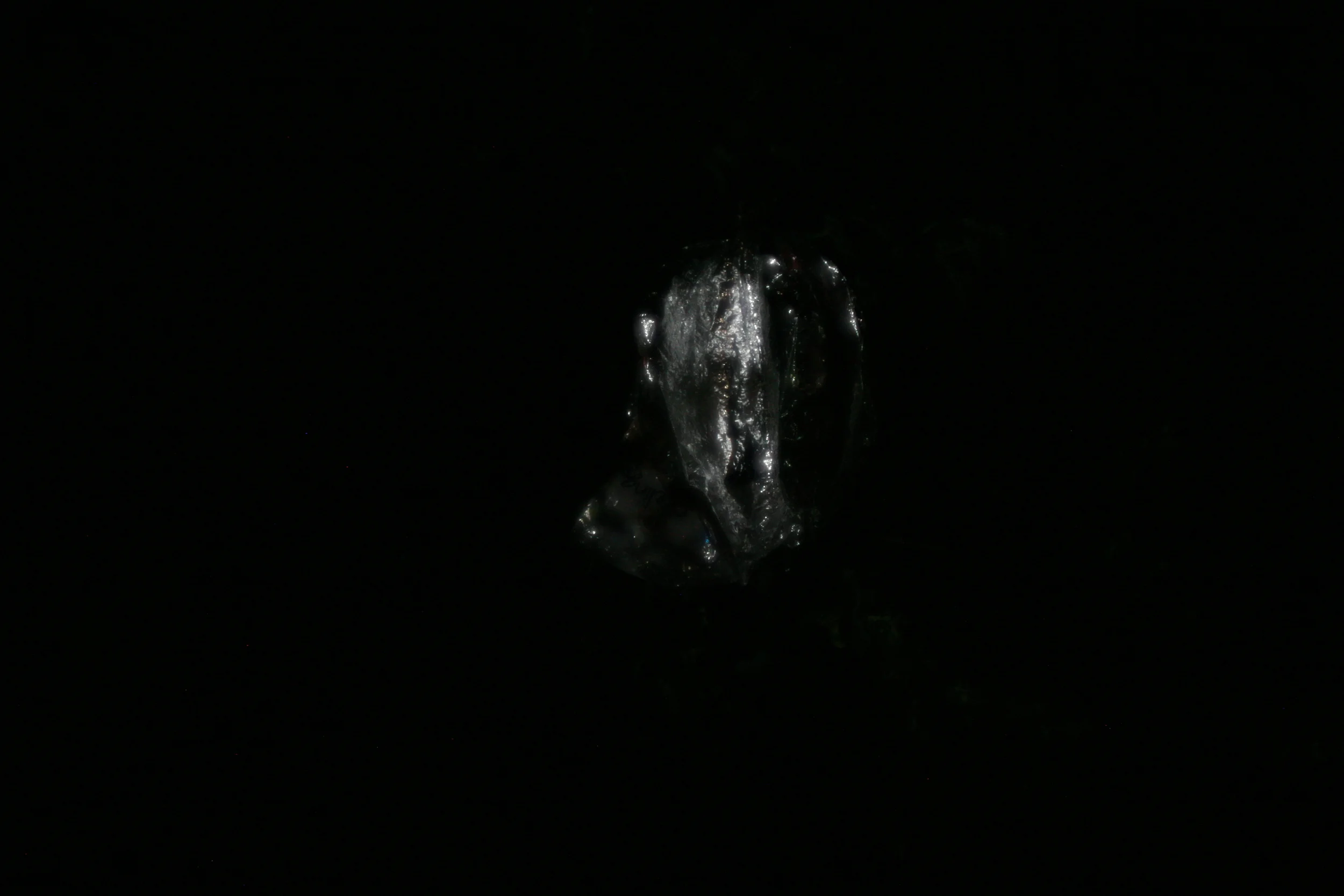 Foil Balloon