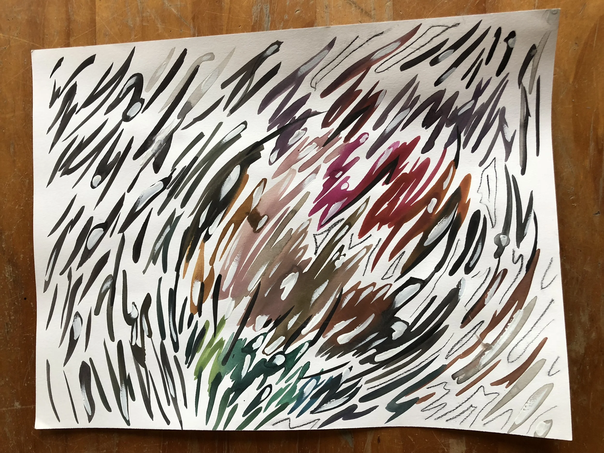 IMG_0708.jpeg