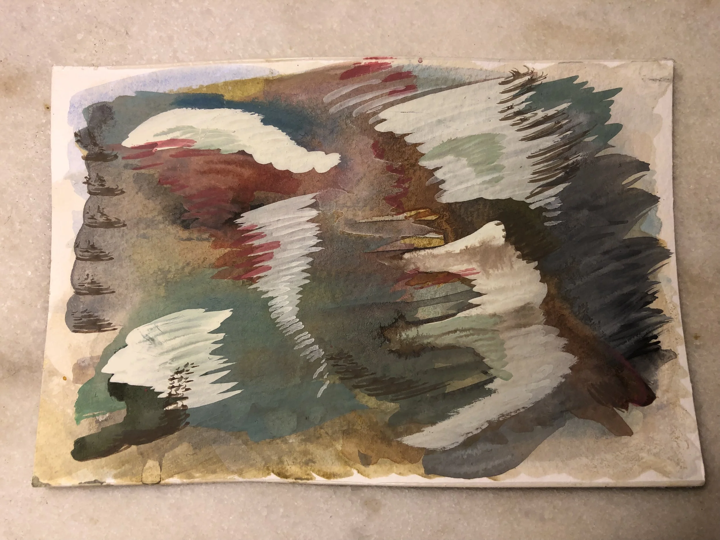 IMG_1715.jpeg